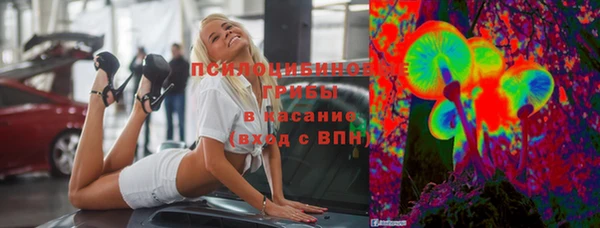 индика Верхний Тагил