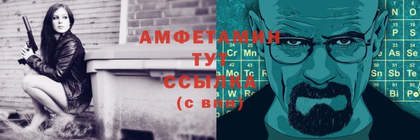 индика Верхний Тагил