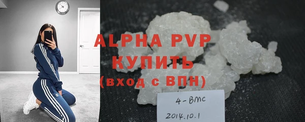 индика Верхний Тагил