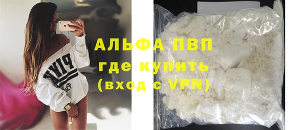 индика Верхний Тагил