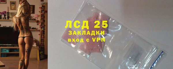 индика Верхний Тагил
