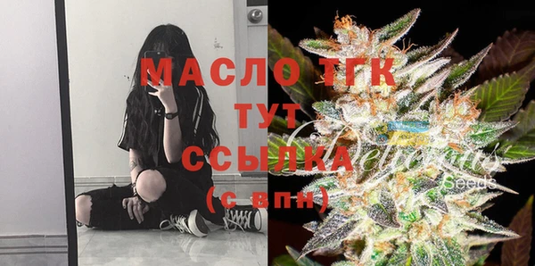 индика Верхний Тагил