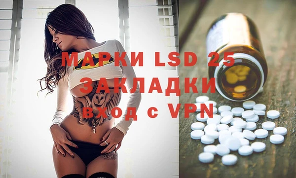 индика Верхний Тагил