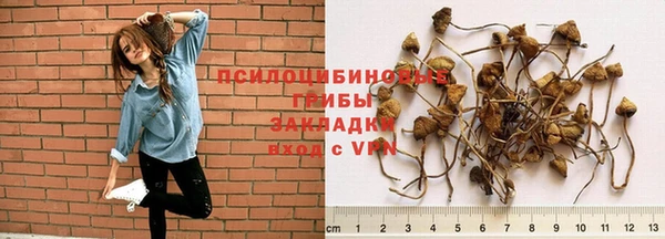 индика Верхний Тагил
