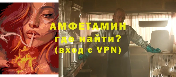 индика Верхний Тагил