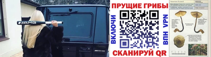 Псилоцибиновые грибы мухоморы  что такое наркотик  Новосиль 
